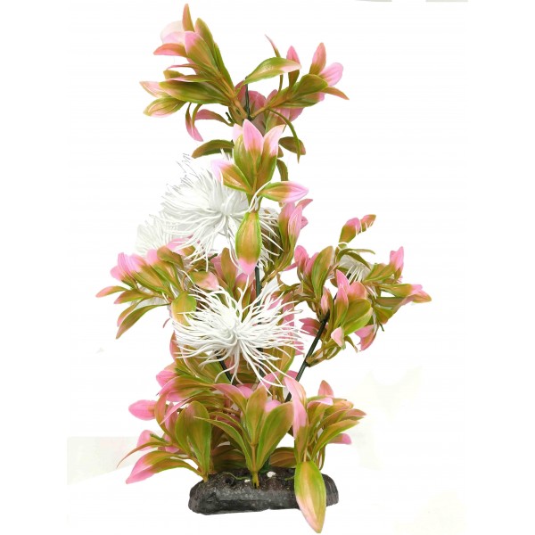 ΔΙΑΚΟΣΜΗΤΙΚΟ ΦΥΤΟ ΕΝΥΔΡΕΙΟΥ